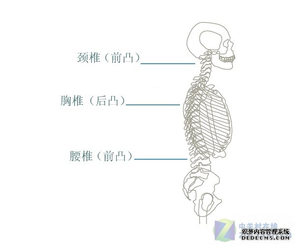 珍愛后半生 電腦椅選購八大要素看仔細(xì) 