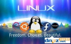 Linux系統(tǒng)查看和結束進程的步驟。