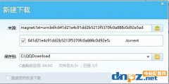 迅雷磁力鏈接怎么下載