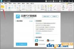 PDF可以插入文本嗎？