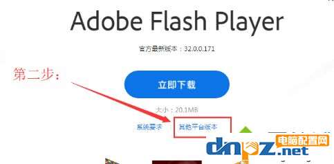 電腦如何安裝flash插件？方法教給你！